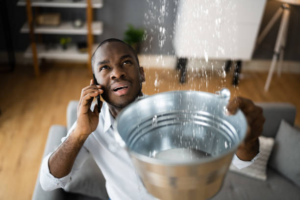 Best Water damage restoration near me  in Englewood, TN