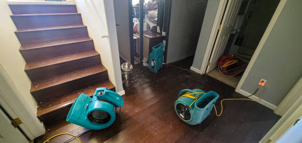 Best Carpet water damage restoration  in Englewood, TN