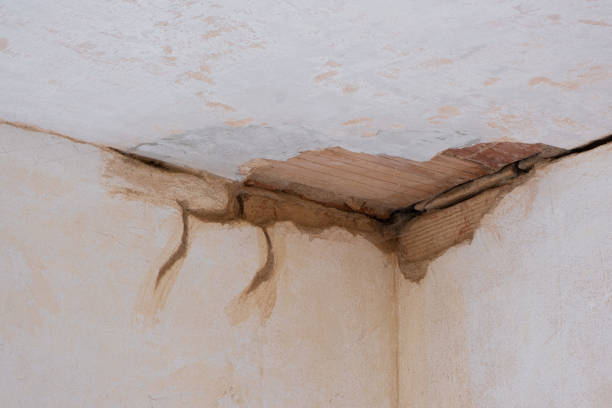 Best Water damage cleanup near me  in Englewood, TN