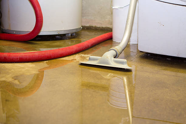 Best Basement water damage restoration  in Englewood, TN