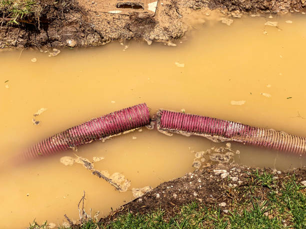 Best Flood restoration services  in Englewood, TN