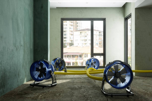 Best Fire Damage Restoration  in Englewood, TN