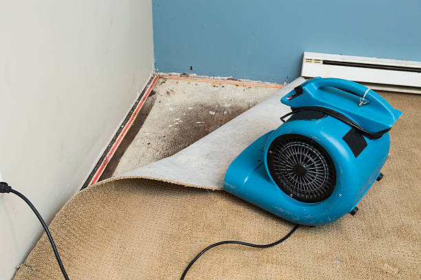 Best Residential water damage restoration  in Englewood, TN